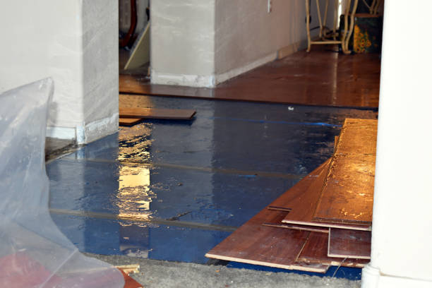 Professional Flood Damage Restoration technician working in Oro Grande, CA